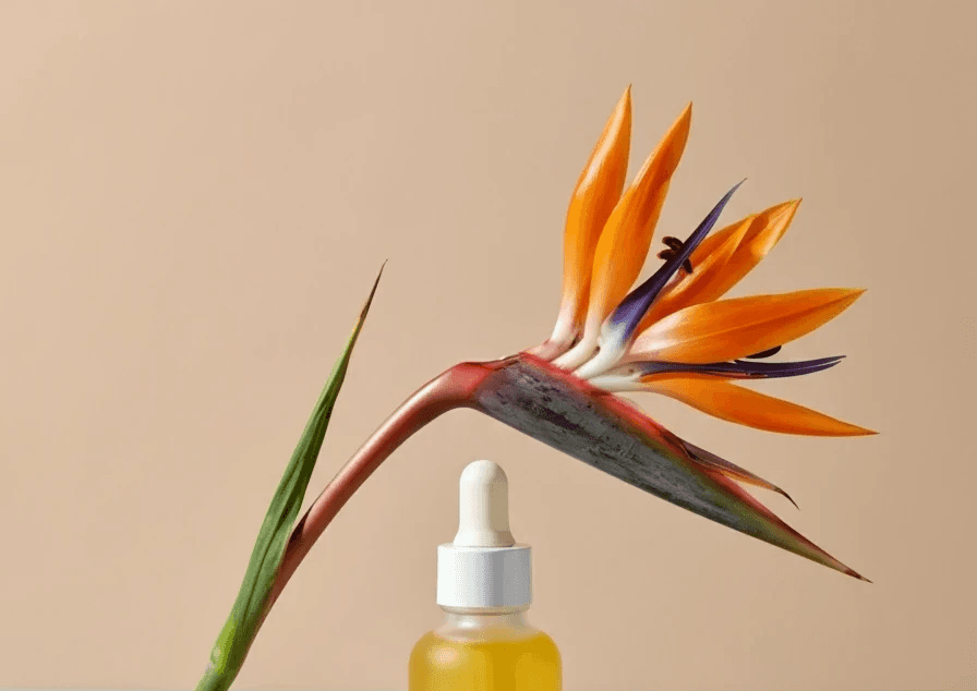 a dropping bottle with bird of paradise flower